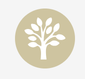 Jouw groei Jouw groei